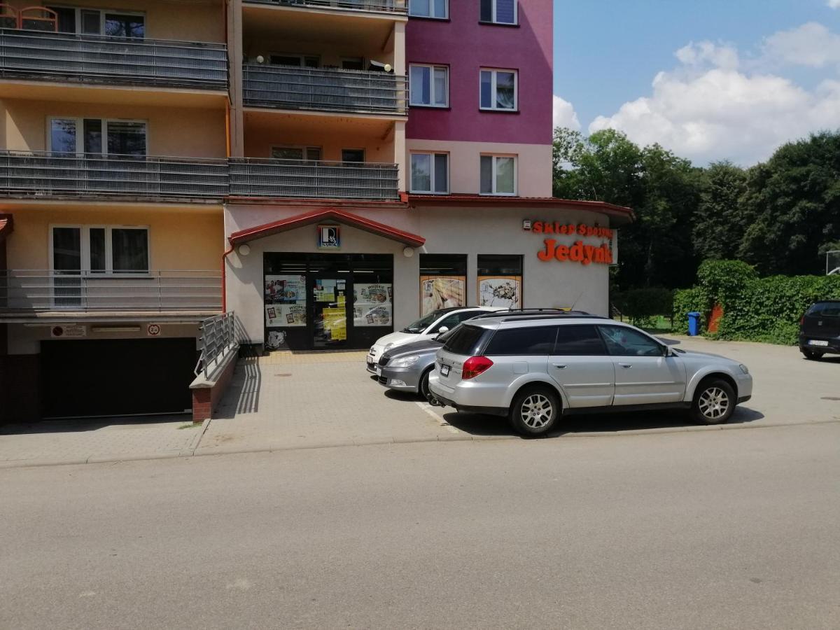 Apartament Witkiewicza Sanok Esterno foto